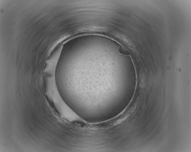 X0000083651073200702261110