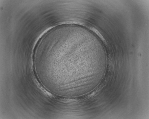 X0000083651076200702261110