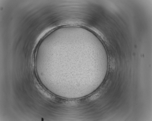 X0000083651078200702261110