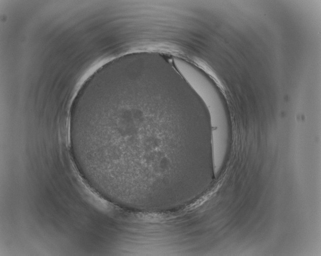 X0000083651079200702261110