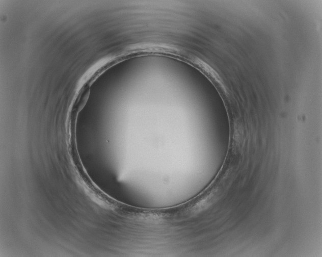 X0000083651082200702261110