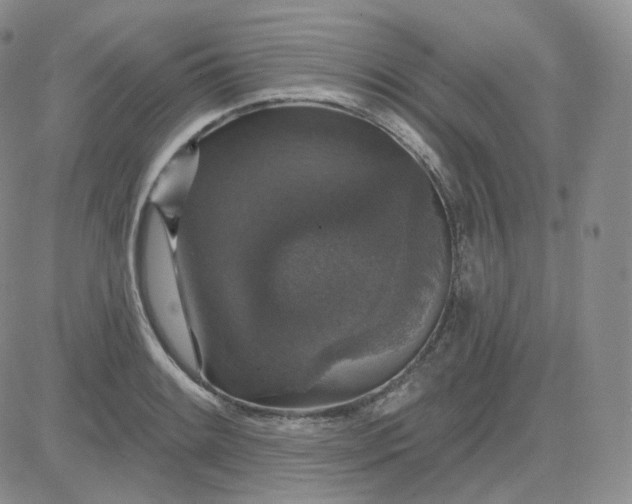 X0000083651084200702261110