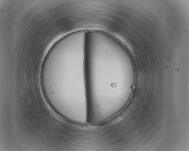 X0000083651085200702261110