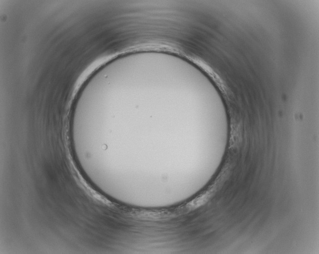 X0000083651086200702261110