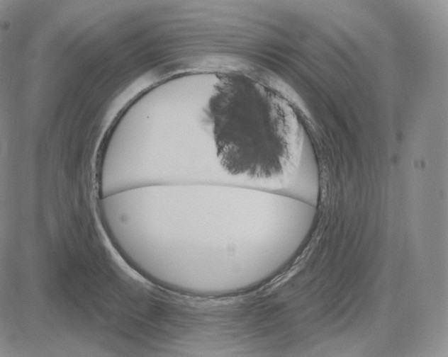 X0000083651087200702261110