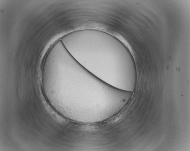 X0000083651088200702261110