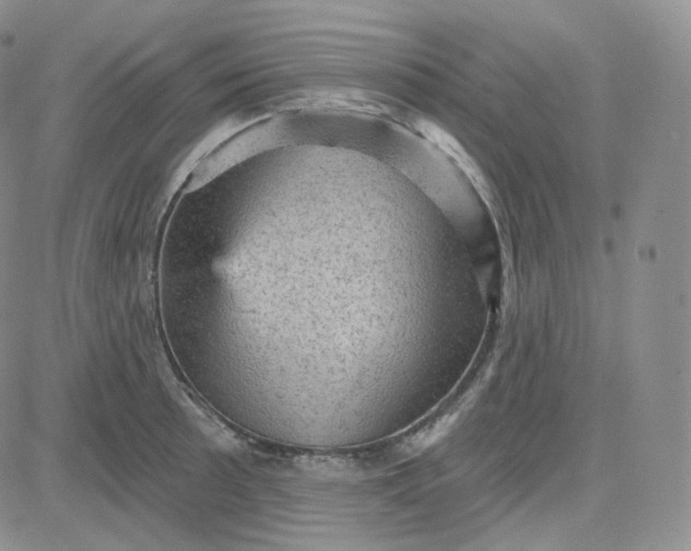 X0000083651089200702261110