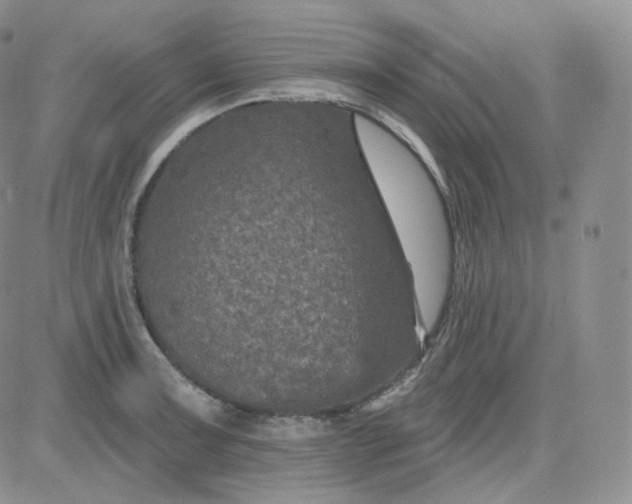 X0000083651091200702261110