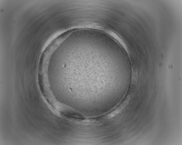 X0000083651093200702261110