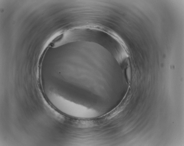 X0000083651095200702261110