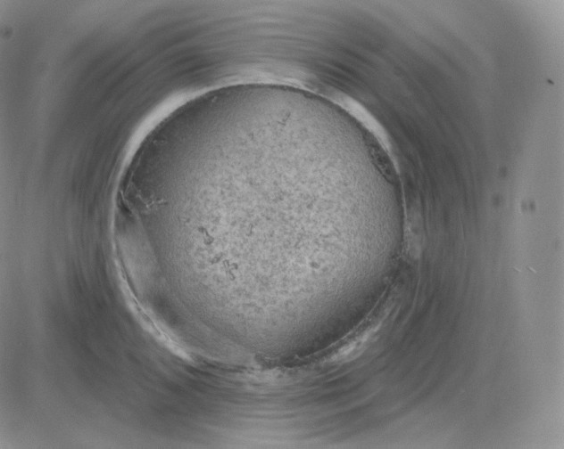 X0000083651096200702261110