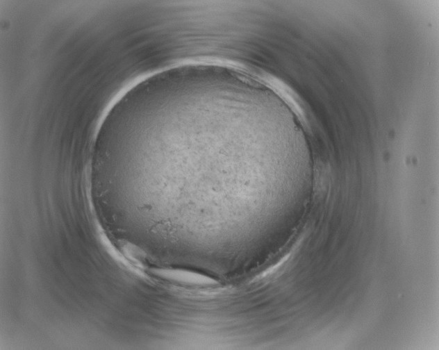 X0000083651100200702261110