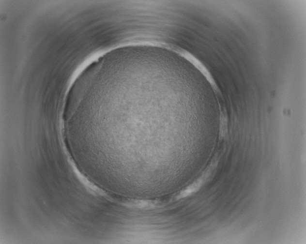 X0000083651101200702261110