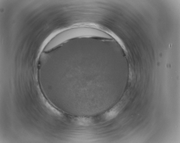 X0000083651102200702261110