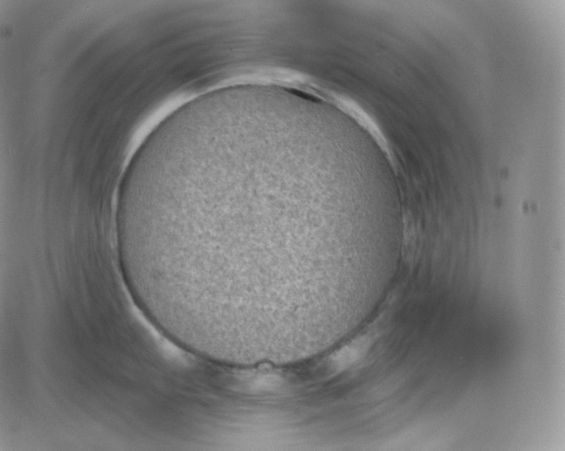 X0000083651103200702261110