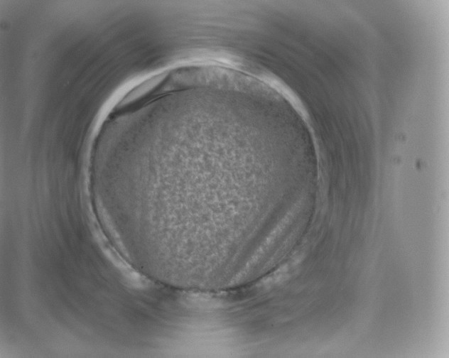 X0000083651104200702261110