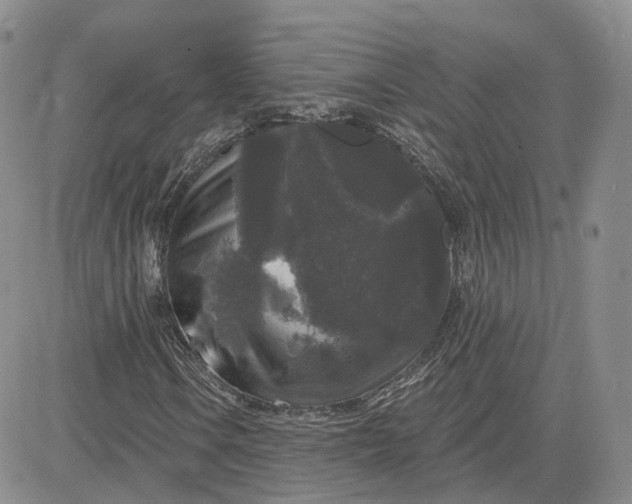 X0000083651106200702261109