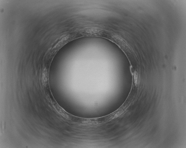 X0000083651107200702261109