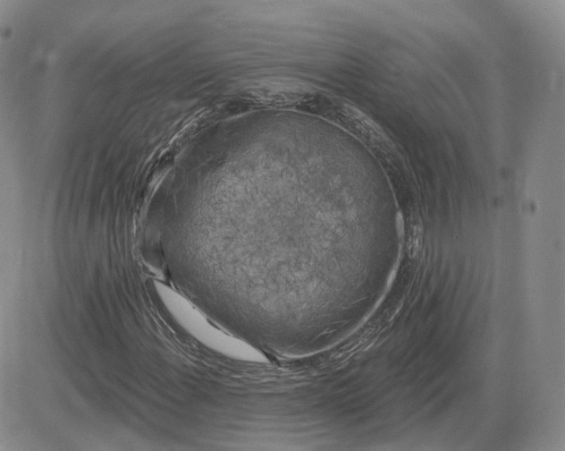 X0000083651108200702261109