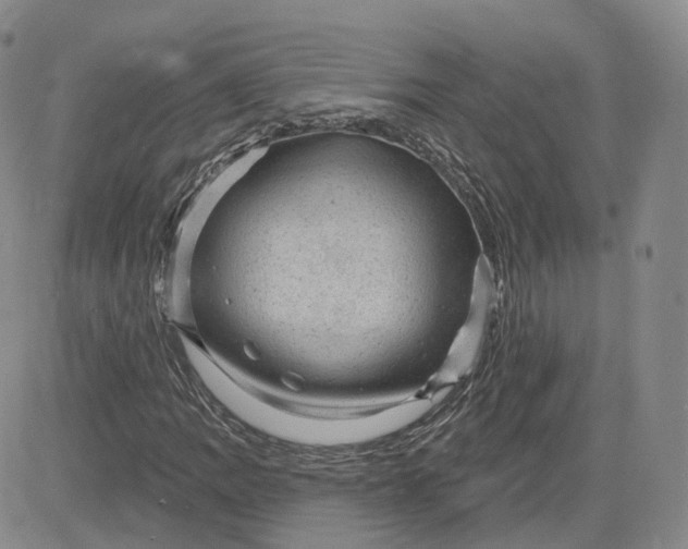 X0000083651109200702261109