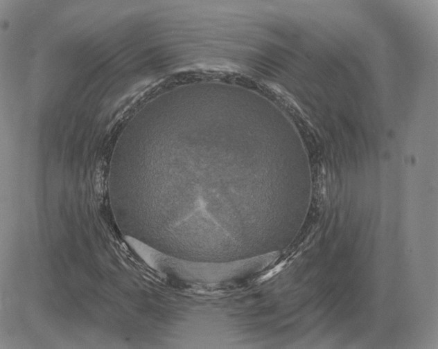 X0000083651110200702261109