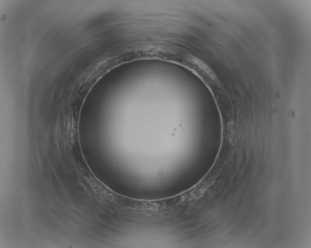 X0000083651111200702261109