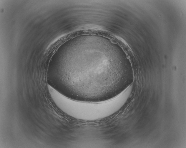 X0000083651112200702261109