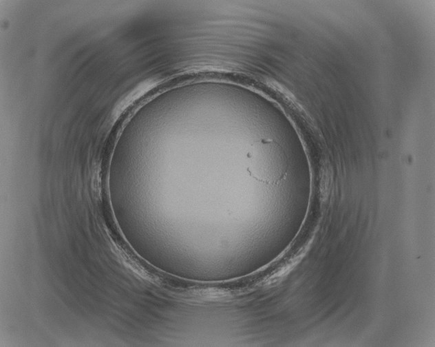 X0000083651113200702261109