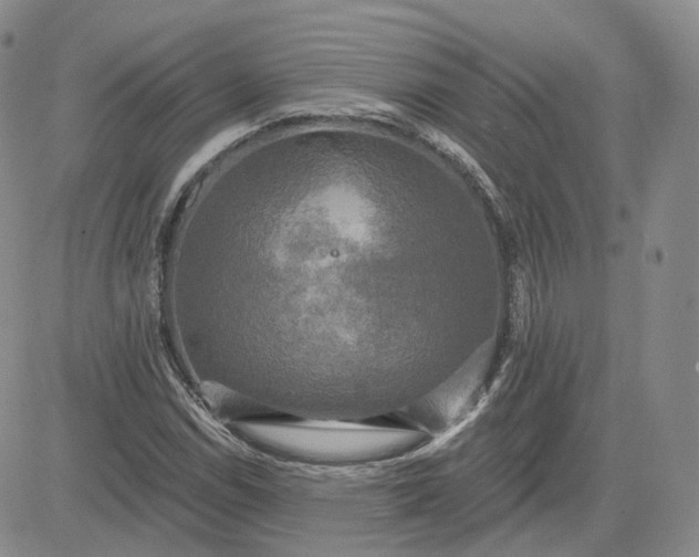 X0000083651114200702261109