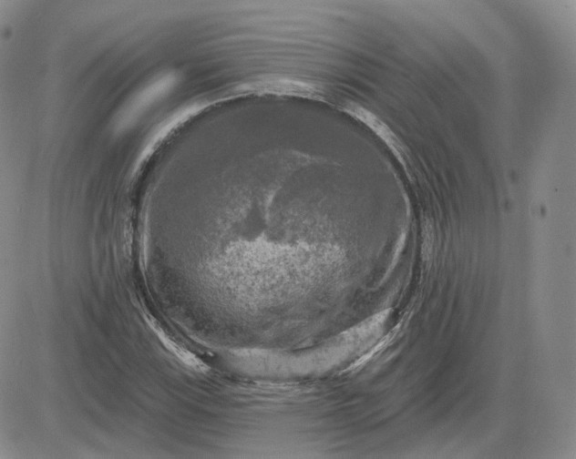 X0000083651115200702261109