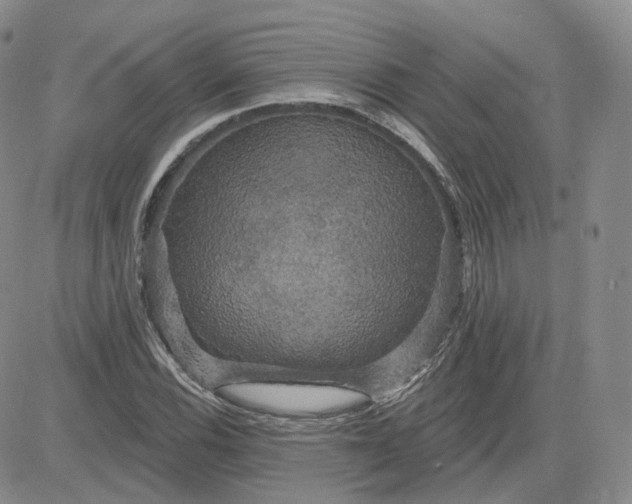 X0000083651116200702261109