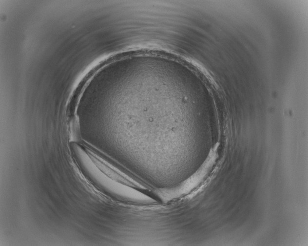 X0000083651118200702261109