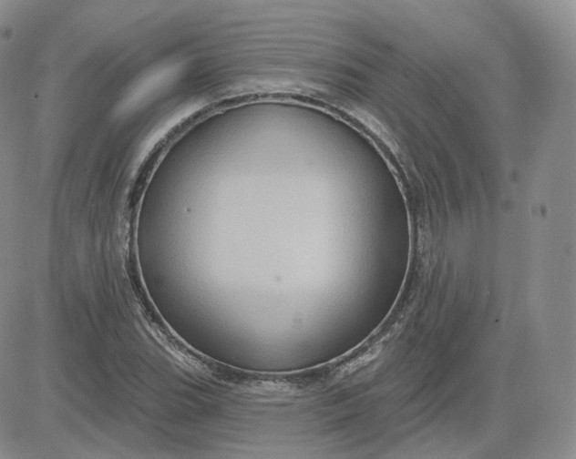 X0000083651119200702261109