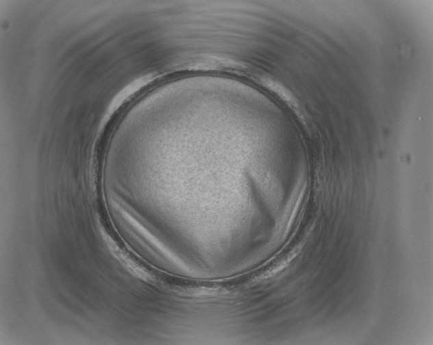 X0000083651122200702261109