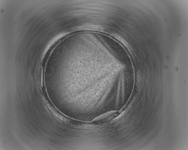 X0000083651123200702261109