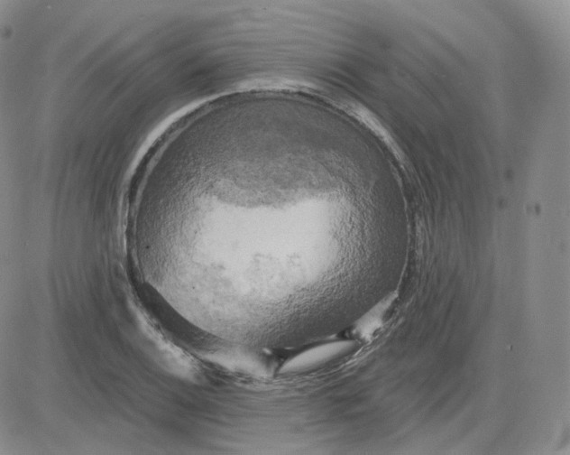 X0000083651124200702261109