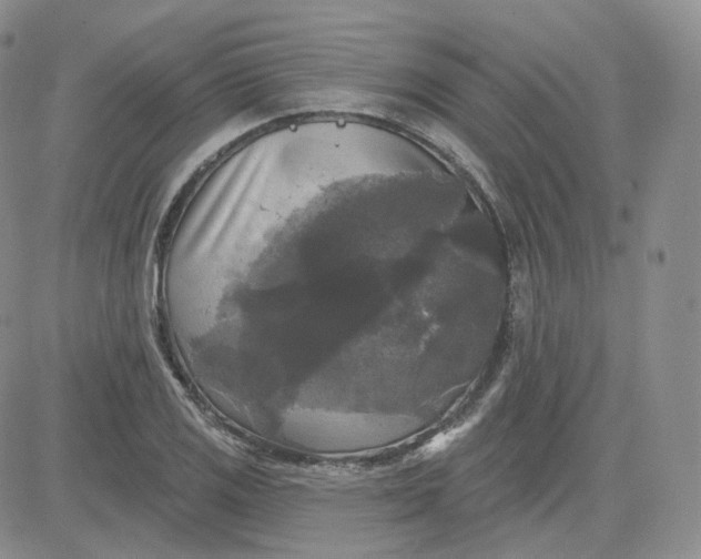 X0000083651125200702261109