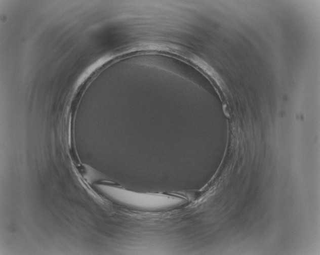 X0000083651127200702261109