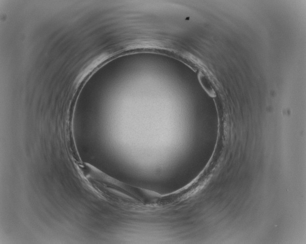 X0000083651129200702261109