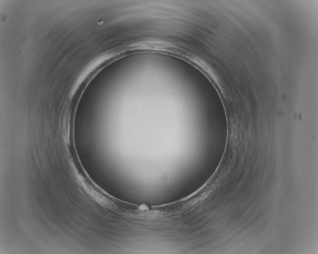 X0000083651131200702261109