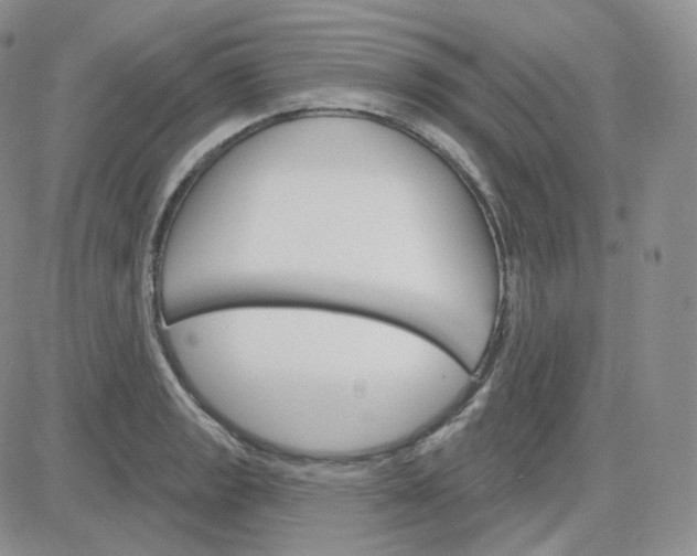 X0000083651133200702261109