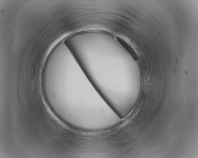 X0000083651134200702261109