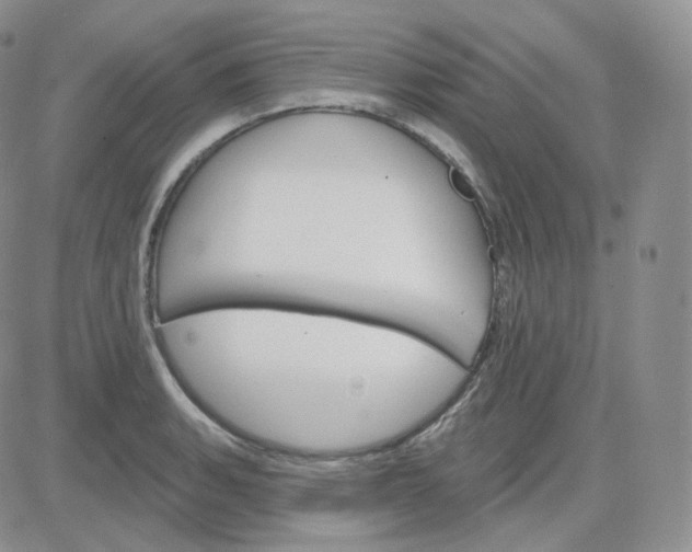 X0000083651135200702261109