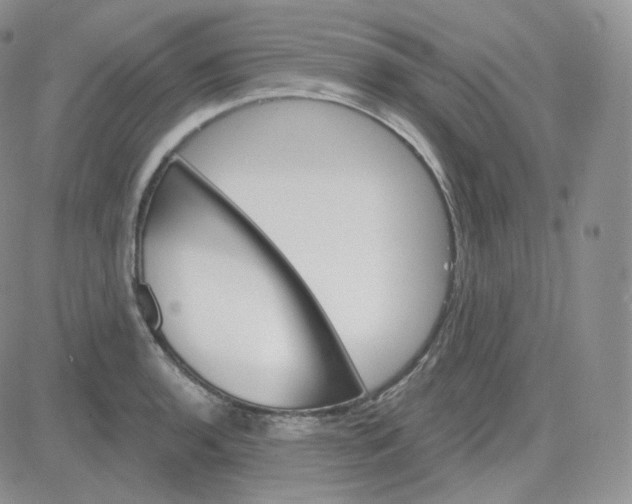 X0000083651136200702261109