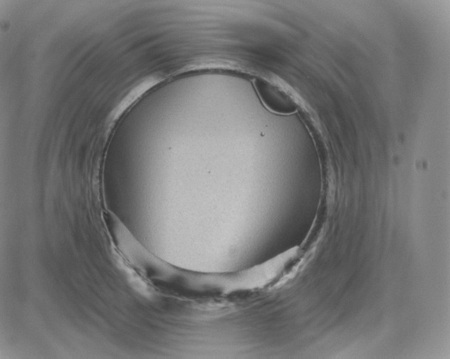 X0000083651137200702261109