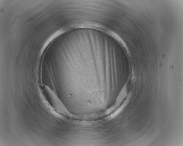 X0000083651138200702261109