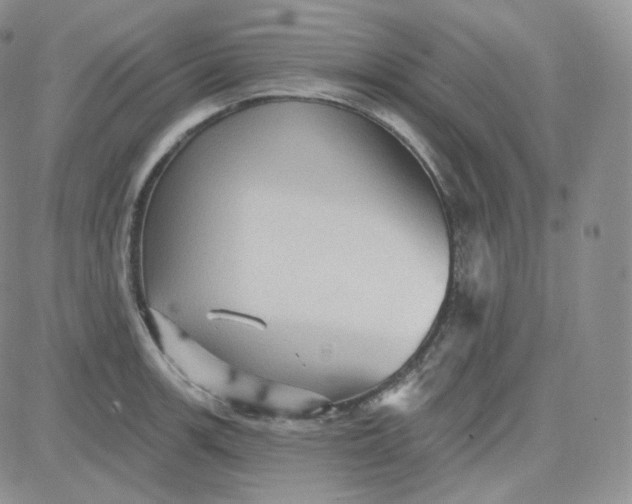 X0000083651139200702261109