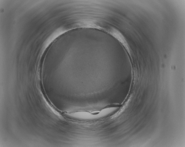 X0000083651141200702261109