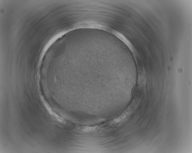 X0000083651144200702261109