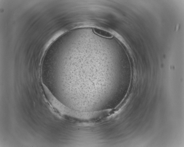 X0000083651145200702261109